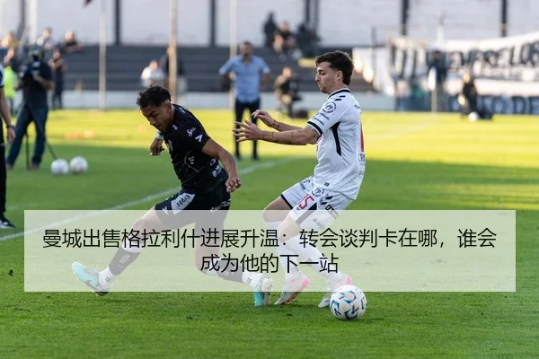 img_1781849629389_82_2_911.jpg
